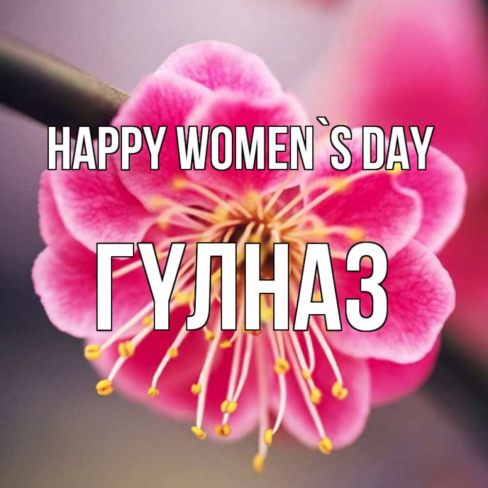 Greetings card с именем, ГҮЛНАЗ happy women`s day цветы Greetings with text for free download 